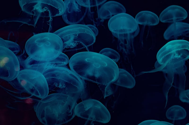 Underwater Wonder Centerpiece